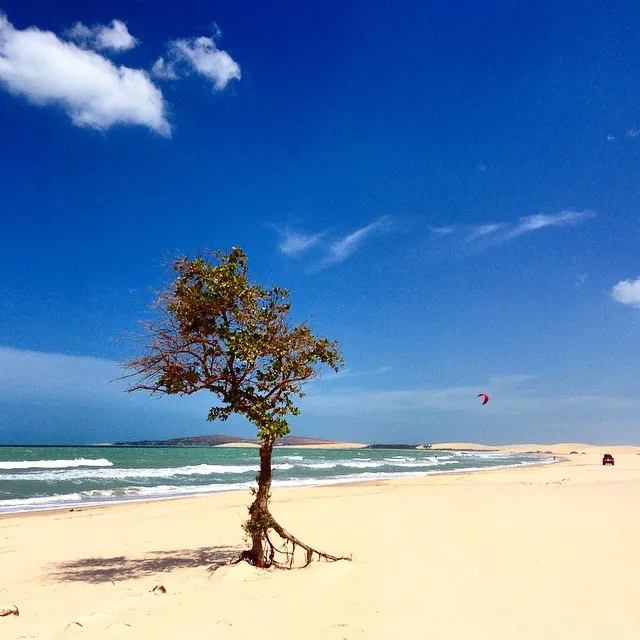 Jericoacoara image 2