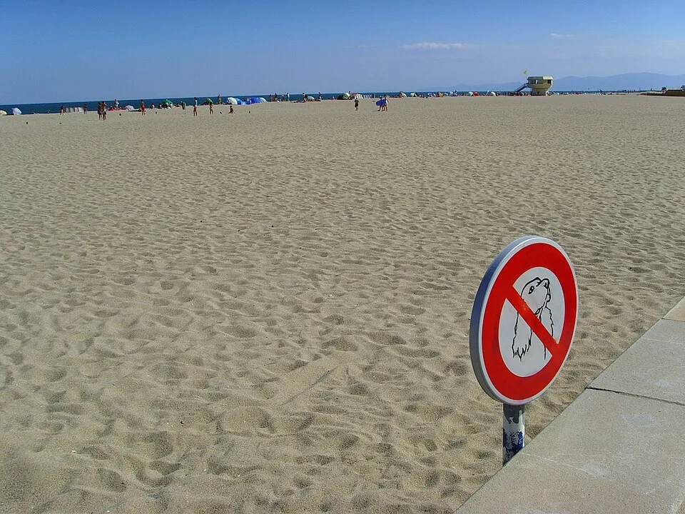 Leucate image 2
